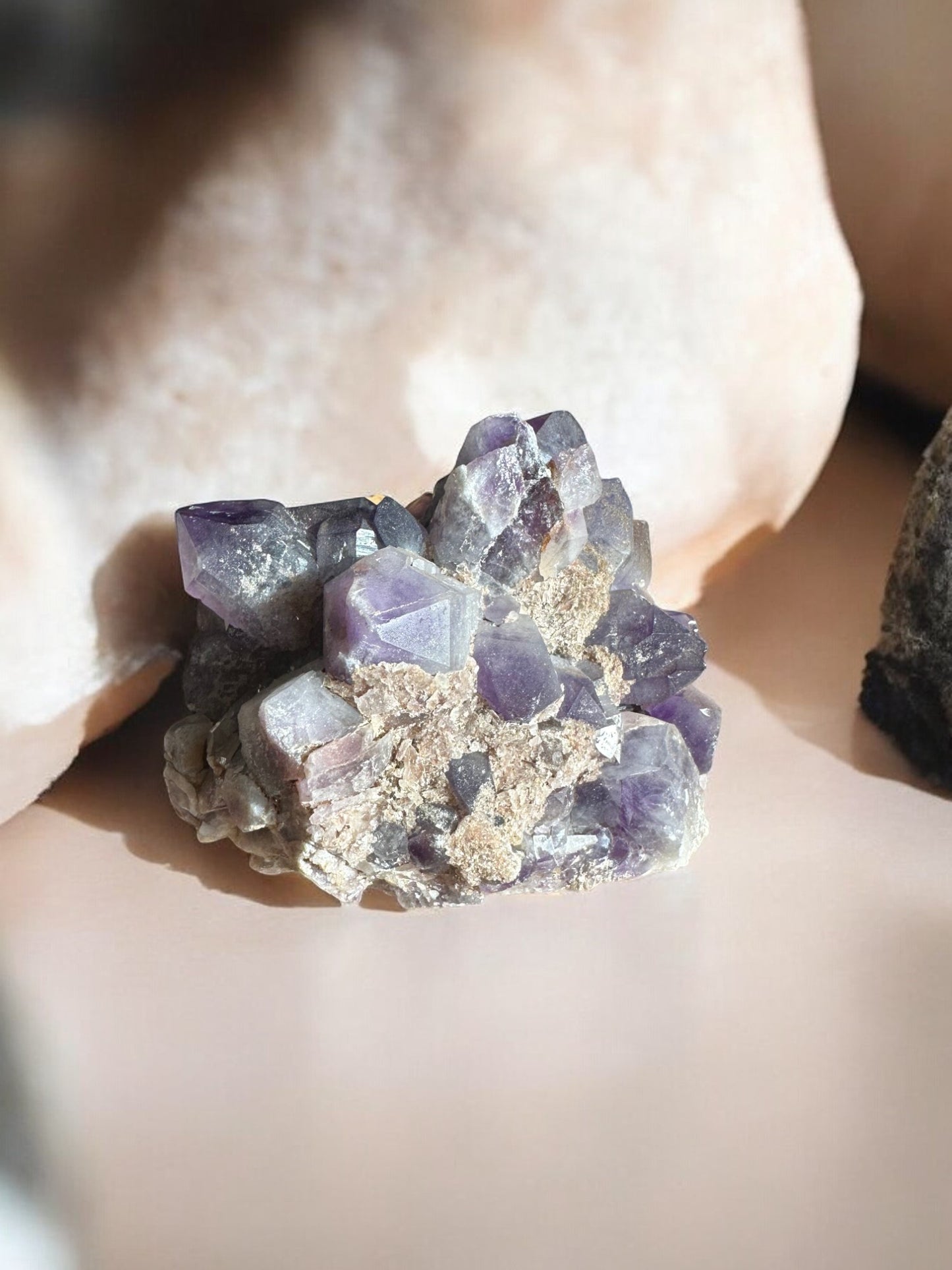 Amethyst raw crystal with nature on it