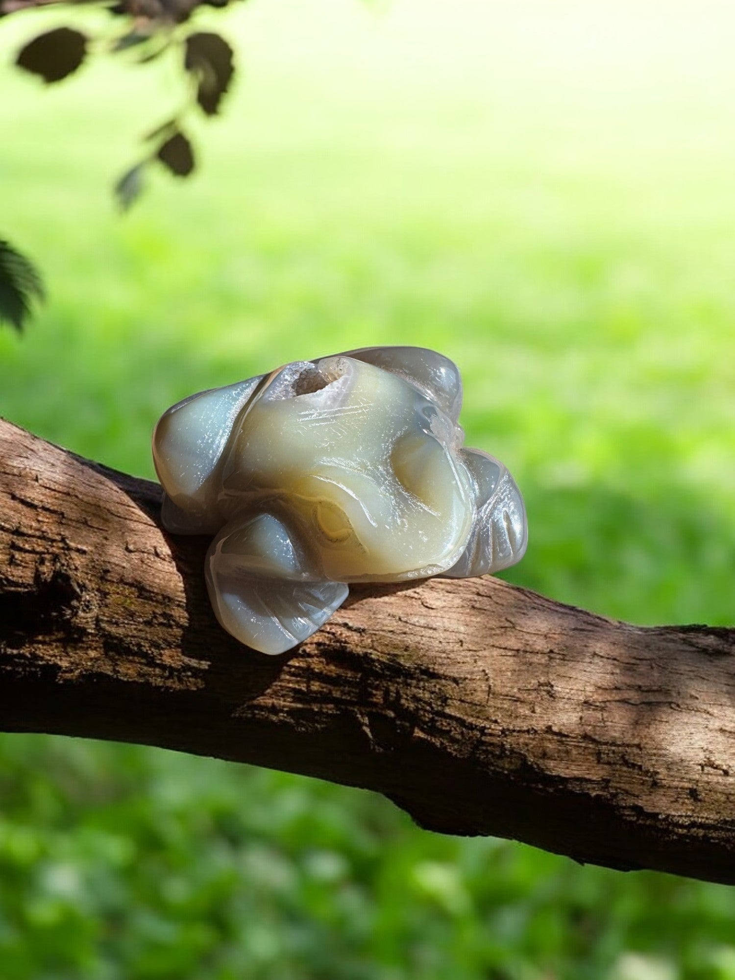 Druzy agate crystal frog on a tree