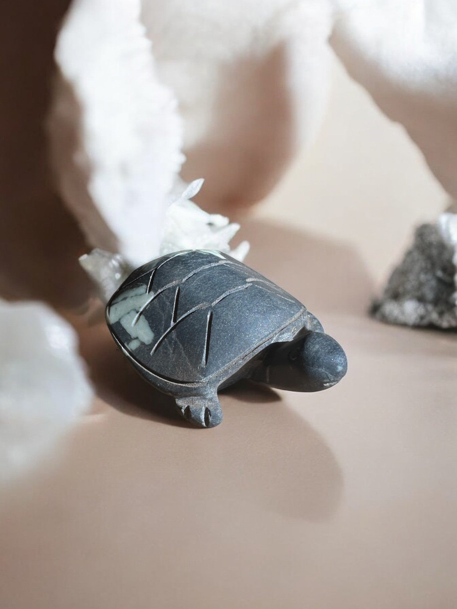 Chrysanthemum stone crystal turtle