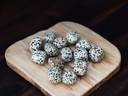 Dalmatian jasper tumbled crystals