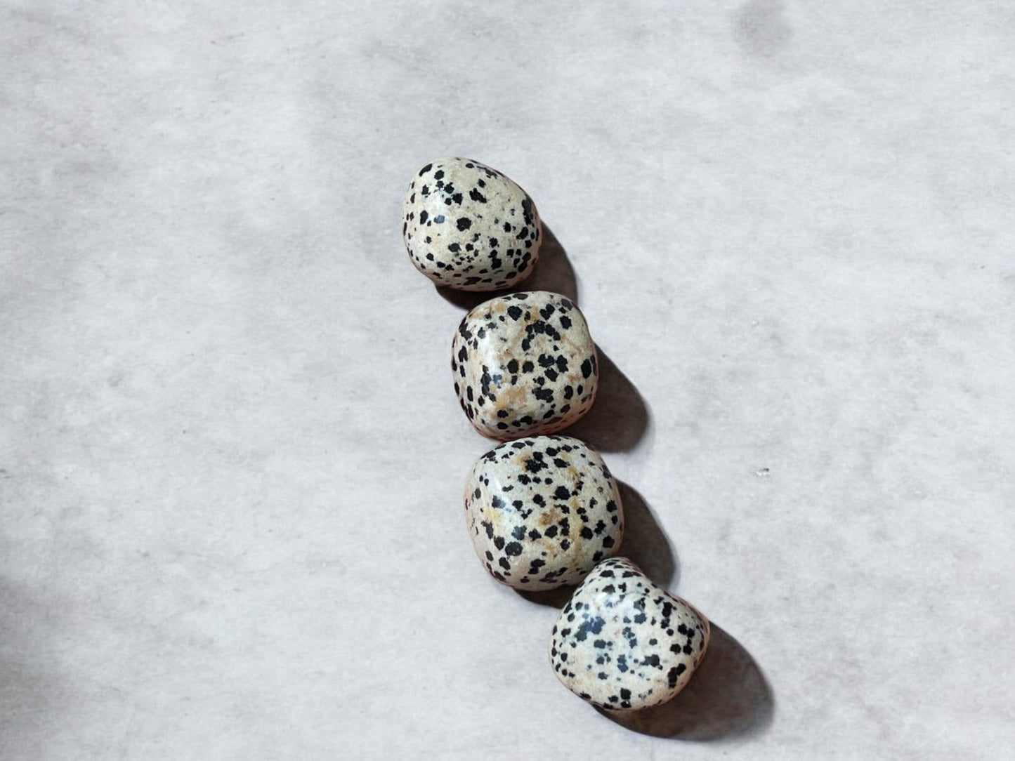 Dalmatian jasper tumbled stones