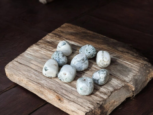 tree agate tumbled crystals